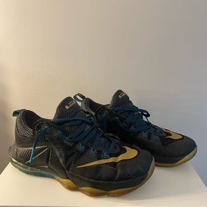 Nike Lebron 12 Low